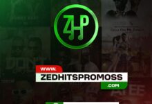 Zedhits Promos Media