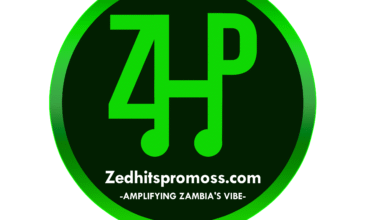 Zedhitspromoss.com Logo