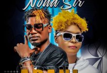 DJ Artman ft Nona Str - Adani