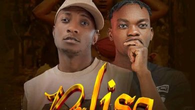 Wizz Dee Don ft. Ozone Africa - Palisa