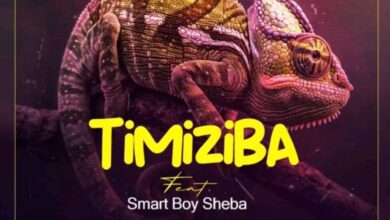 Drimz Mr MuziQ ft. Smart Boy Sheba - Timiziba Mp3 Download