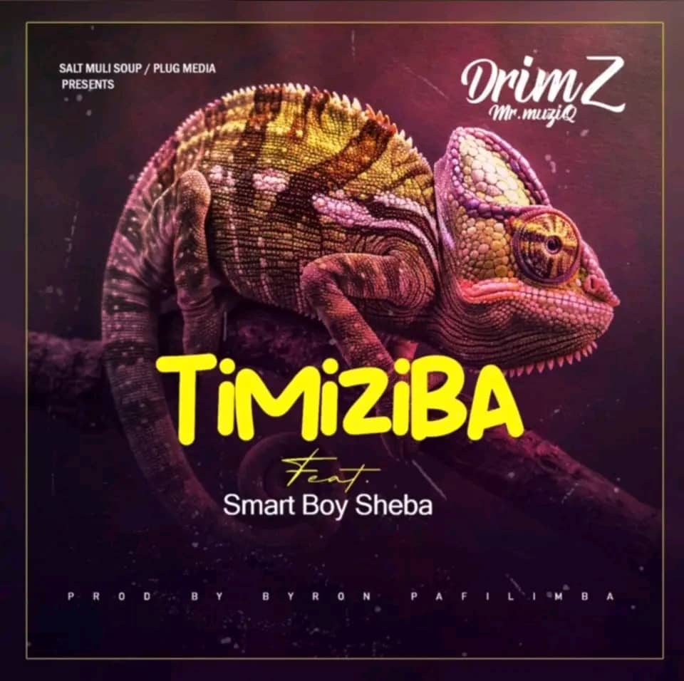 Drimz Mr MuziQ ft. Smart Boy Sheba - Timiziba Mp3 Download