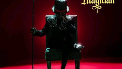 Driemo - The Magician Album Cover