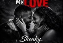 Shenky - New Year Mu Love Mp3 Download