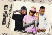 Wanyansa Dem - Dizmo - Shokii - Abana Baifwaila
