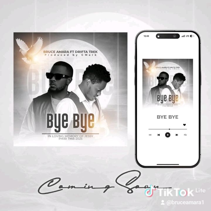 Bruce Amara ft Drifta Trek - Bye Bye Mp3 Download
