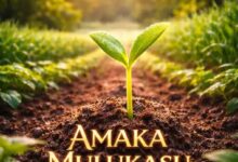 BrokenHill Emmy ft. Tiger Tonka - Amaka Mulukasu Mp3 Download