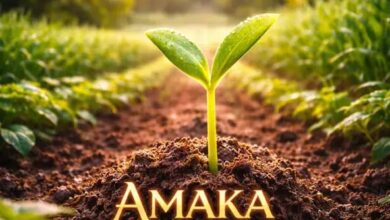 BrokenHill Emmy ft. Tiger Tonka - Amaka Mulukasu Mp3 Download