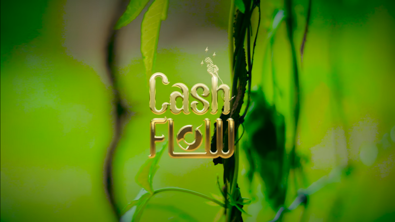Cash Flow Zambia-Niwe Mp3 Download